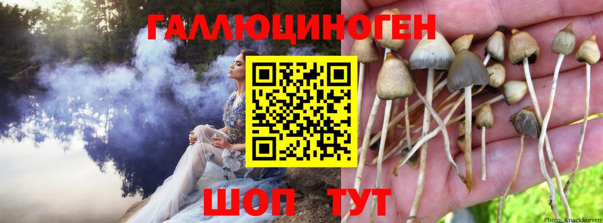 Псилоцибиновые грибы GOLDEN TEACHER Вязьма